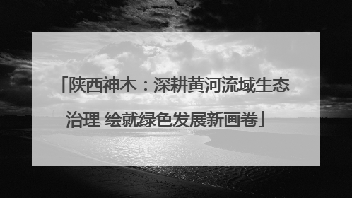陕西神木：深耕黄河流域生态治理 绘就绿色发展新画卷
