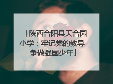 陕西合阳县天合园小学：牢记党的教导 争做强国少年