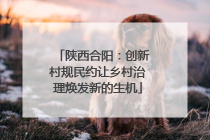 陕西合阳：创新村规民约让乡村治理焕发新的生机
