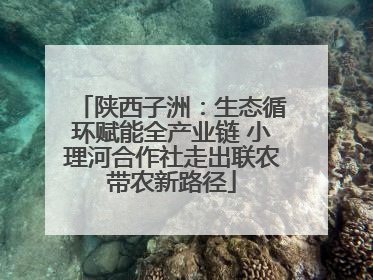 陕西子洲：生态循环赋能全产业链 小理河合作社走出联农带农新路径