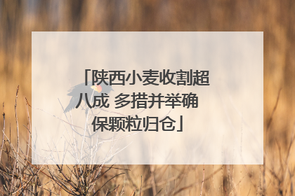 陕西小麦收割超八成 多措并举确保颗粒归仓