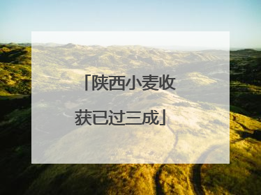 陕西小麦收获已过三成