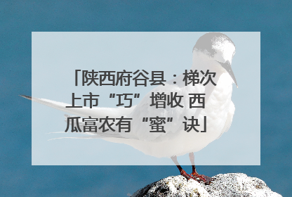 陕西府谷县：梯次上市“巧”增收 西瓜富农有“蜜”诀