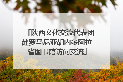 陕西文化交流代表团赴罗马尼亚胡内多阿拉省图书馆访问交流