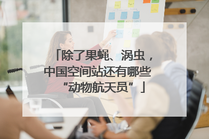 除了果蝇、涡虫，中国空间站还有哪些“动物航天员”