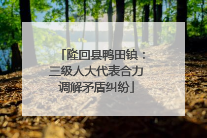 隆回县鸭田镇：三级人大代表合力调解矛盾纠纷