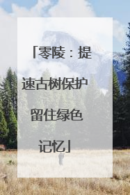 零陵：提速古树保护 留住绿色记忆