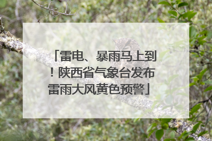 雷电、暴雨马上到！陕西省气象台发布雷雨大风黄色预警