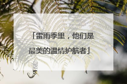 雷雨季里，他们是最美的温情护航者
