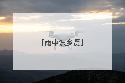 雨中识乡贤