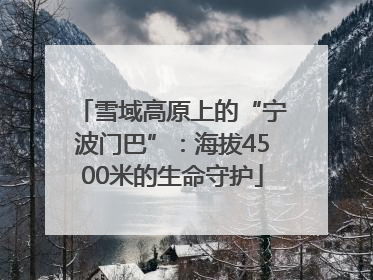 雪域高原上的“宁波门巴”：海拔4500米的生命守护
