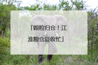 颗粒归仓！江淮粮仓夏收忙