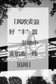 风吹麦浪好“丰”景——多地小麦机收一线见闻