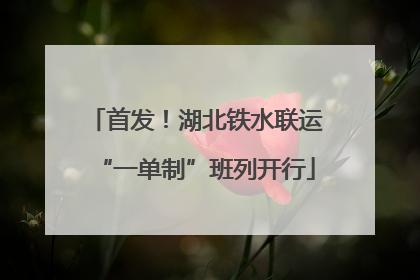 首发！湖北铁水联运“一单制”班列开行