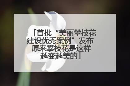 首批“美丽攀枝花建设优秀案例”发布 原来攀枝花是这样越变越美的