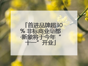首进品牌超30% 非标商业亳都·新象将于今年“十一”开业