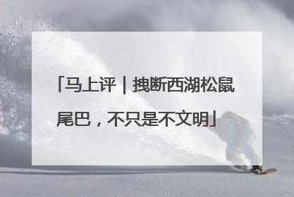 马上评｜拽断西湖松鼠尾巴，不只是不文明