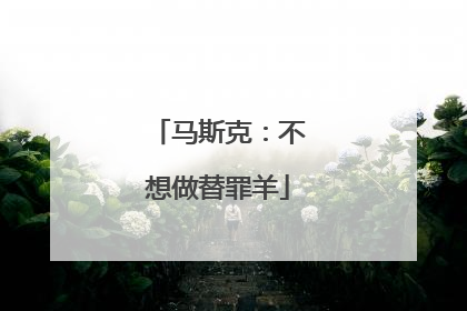 马斯克：不想做替罪羊