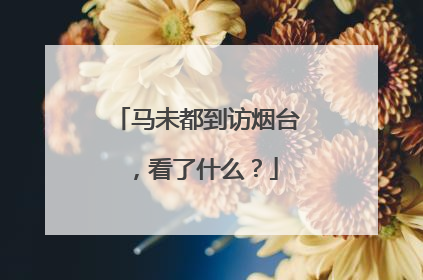 马未都到访烟台，看了什么？