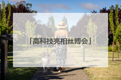高科技亮相丝博会