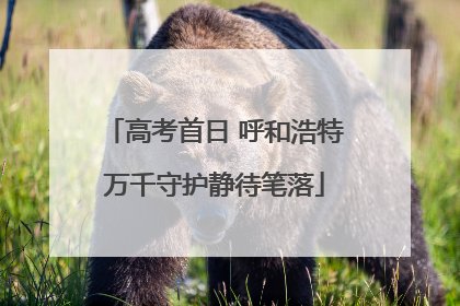 高考首日 呼和浩特万千守护静待笔落