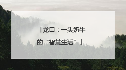 龙口：一头奶牛的“智慧生活”