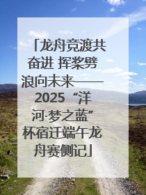 龙舟竞渡共奋进 挥桨劈浪向未来——2025“洋河·梦之蓝”杯宿迁端午龙舟赛侧记