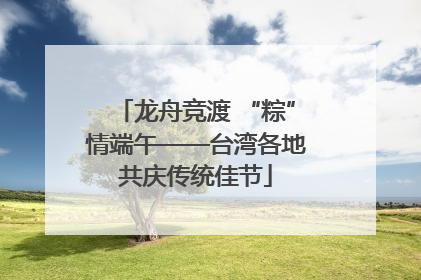 龙舟竞渡 “粽”情端午——台湾各地共庆传统佳节