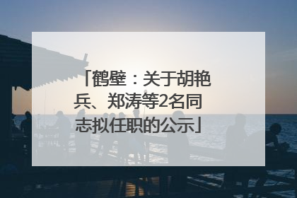 鹤壁：关于胡艳兵、郑涛等2名同志拟任职的公示