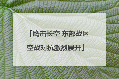 鹰击长空 东部战区空战对抗激烈展开