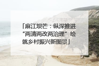 麻江坝芒：纵深推进“两清两改两治理”绘就乡村振兴新图景