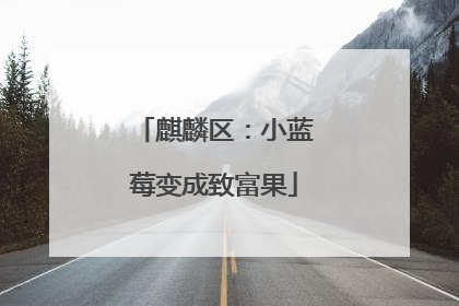麒麟区：小蓝莓变成致富果