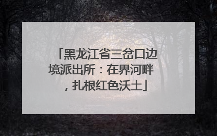 黑龙江省三岔口边境派出所：在界河畔，扎根红色沃土