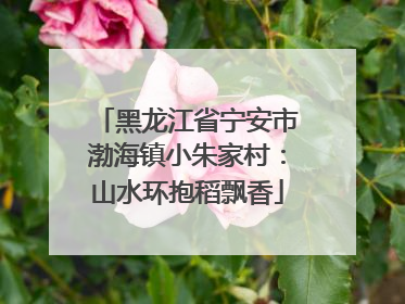 黑龙江省宁安市渤海镇小朱家村：山水环抱稻飘香