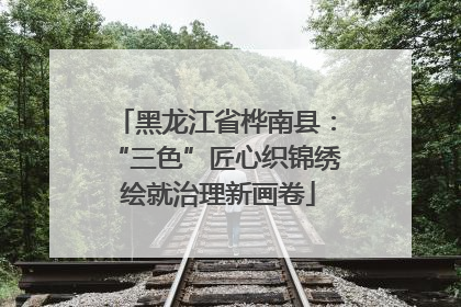 黑龙江省桦南县：“三色”匠心织锦绣 绘就治理新画卷