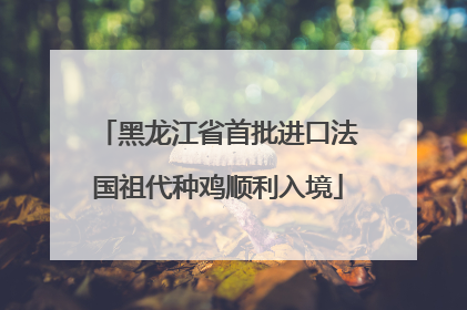 黑龙江省首批进口法国祖代种鸡顺利入境