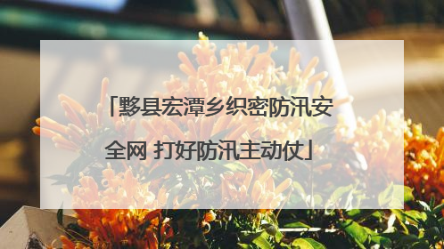 黟县宏潭乡织密防汛安全网 打好防汛主动仗