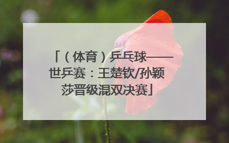 （体育）乒乓球——世乒赛：王楚钦/孙颖莎晋级混双决赛