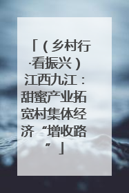 （乡村行·看振兴）江西九江：甜蜜产业拓宽村集体经济“增收路”