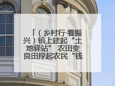 （乡村行·看振兴）镇上建起“土地驿站” 农田变良田撑起农民“钱袋子”