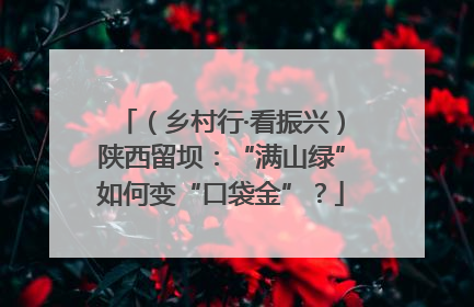 （乡村行·看振兴）陕西留坝：“满山绿”如何变“口袋金”？
