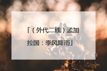 （外代二线）孟加拉国：季风降雨