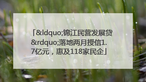 “锦江民营发展贷”落地两月授信1.7亿元，惠及118家民企