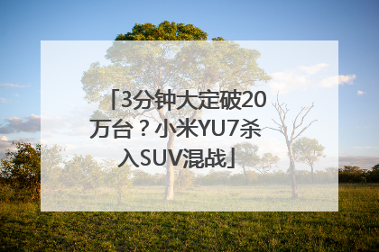 3分钟大定破20万台？小米YU7杀入SUV混战