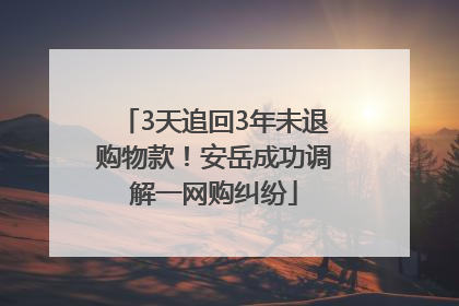 3天追回3年未退购物款！安岳成功调解一网购纠纷