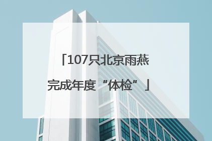 107只北京雨燕完成年度“体检”