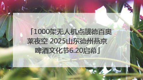 1000架无人机点靓德百奥莱夜空 2025山东德州燕京啤酒文化节6.20启幕