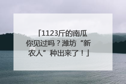 1123斤的南瓜你见过吗？潍坊“新农人”种出来了！
