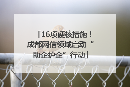 16项硬核措施！成都网信领域启动“助企护企”行动