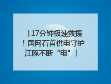 17分钟极速救援！国网石首供电守护江豚不断“电”